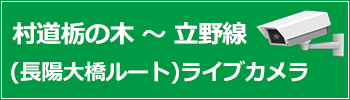 村道栃の木～立野線（長陽大橋ルート）ライブカメラ