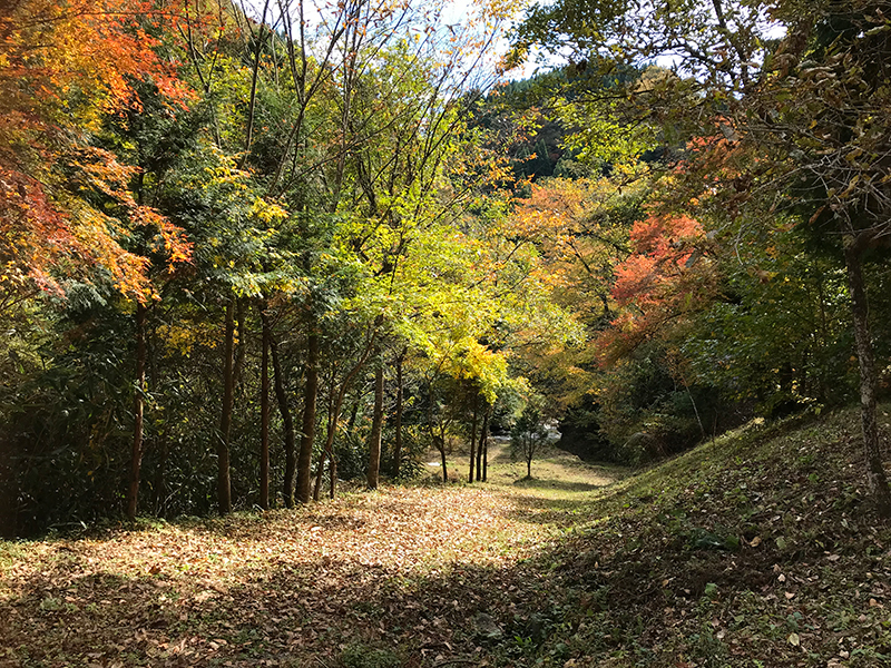 オートキャンプ場＆バーベキュー広場