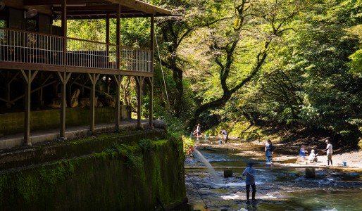 木郷滝自然つりセンター