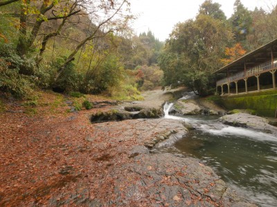 木郷滝自然つりセンター 秋01