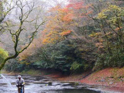 木郷滝然つりセンター 秋02