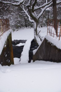 雪のつりセンター