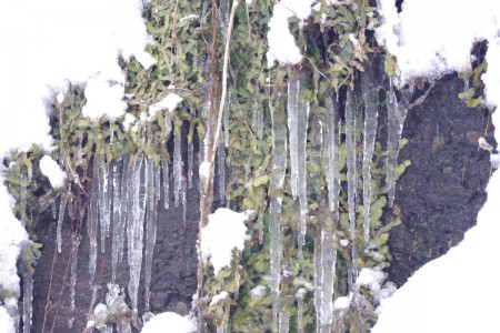 雪のつりセンター