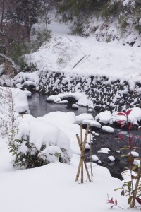 雪のつりセンター