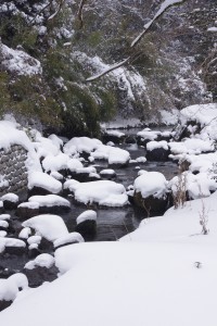 雪のつりセンター