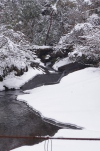 雪のつりセンター
