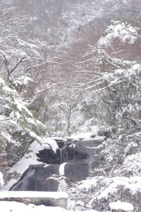 雪のつりセンター