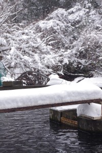 雪のつりセンター